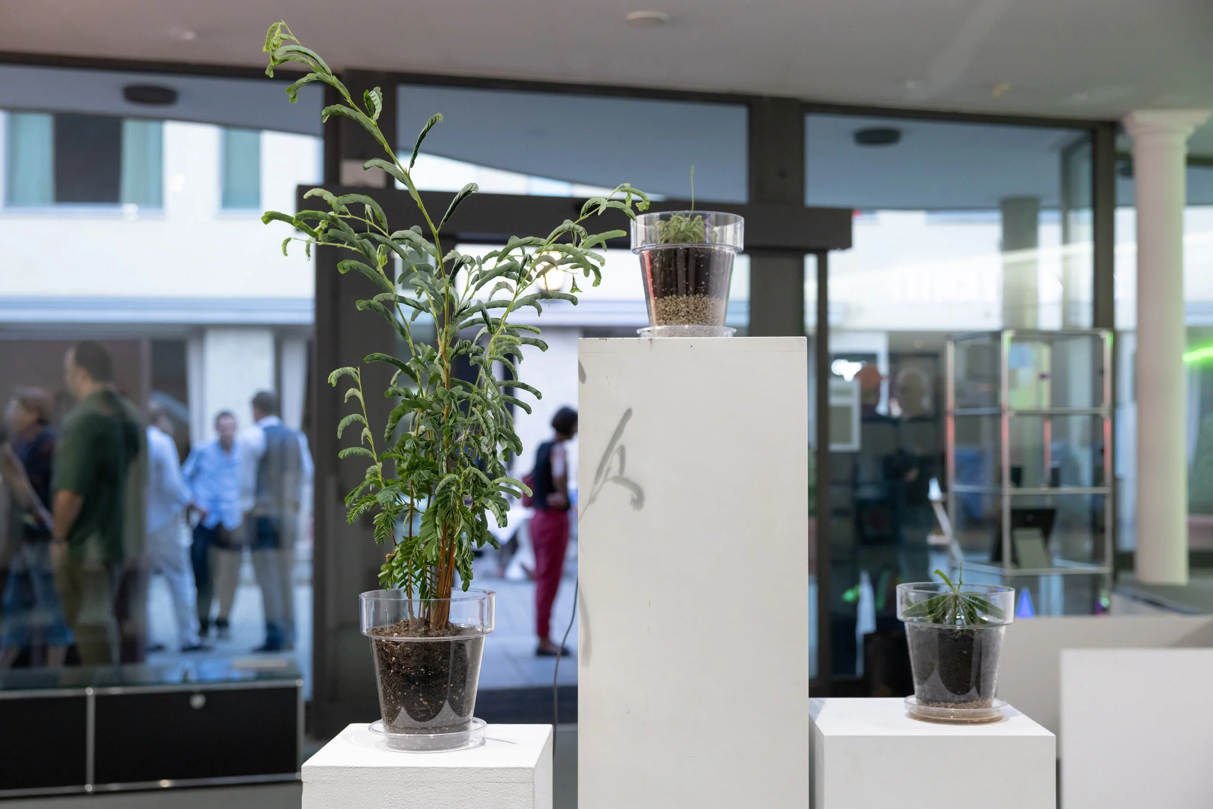 20260811_TRIALOGUE-HolobiontHabitat_097.jpg