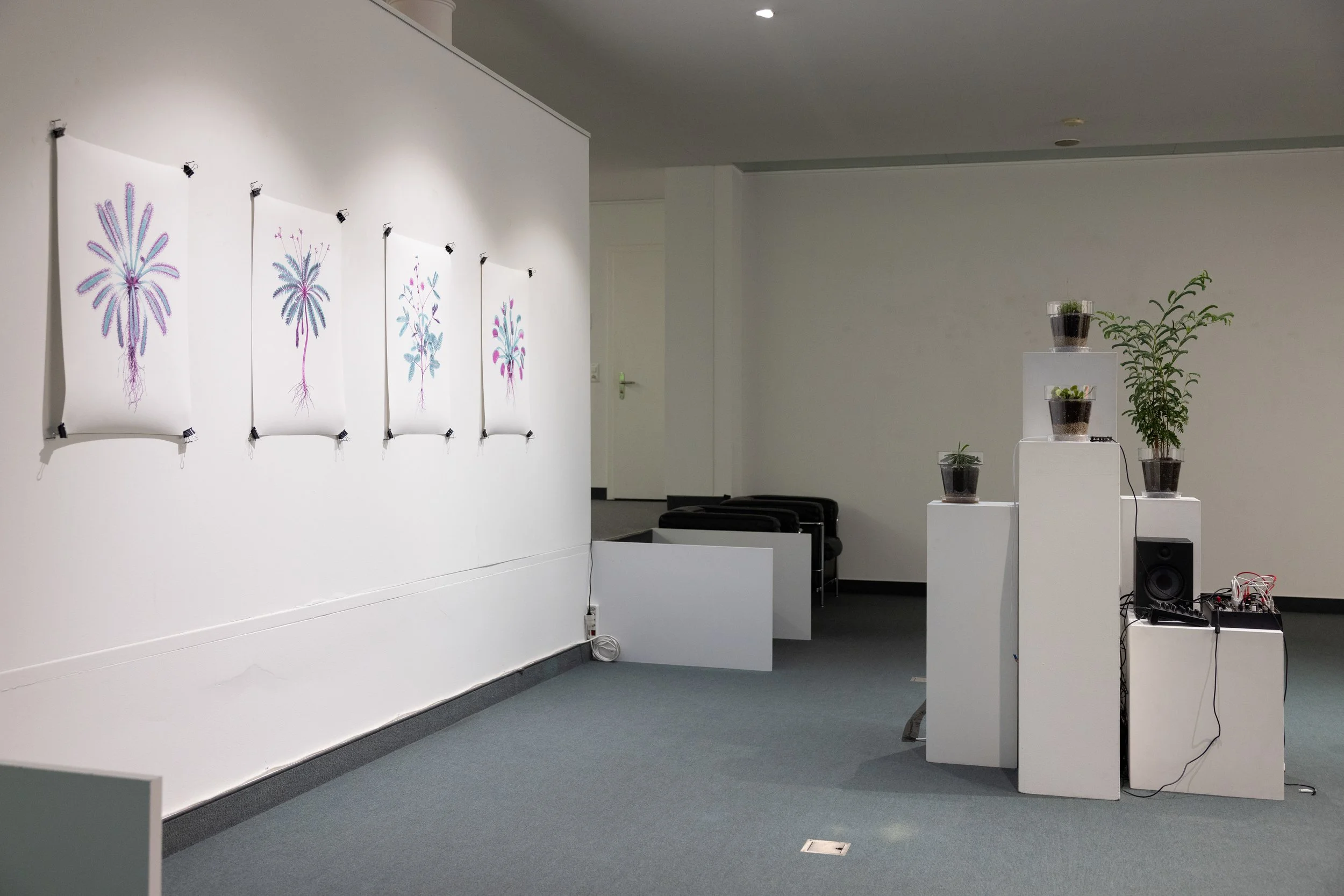 20260811_TRIALOGUE-HolobiontHabitat_100.jpg