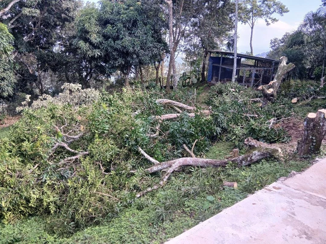 As the new year begins, we are looking to finish the meeting room above the activity center, and if there are any nice days we will work on building an outdoor living room for the staff house. We have already cut down the trees, and the neighbors wer