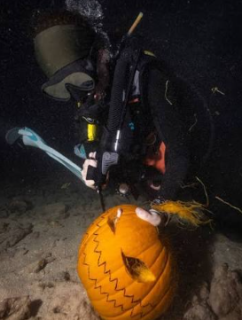 Halloween Pumpkin Night Dive