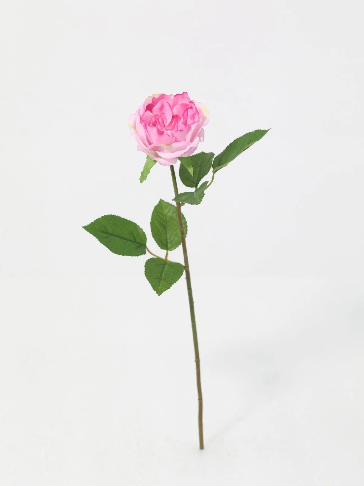 WhatsApp Image 2026-01-30 at 08.48.56 (1).jpeg