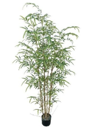 Bamboo Tree 60 inch
