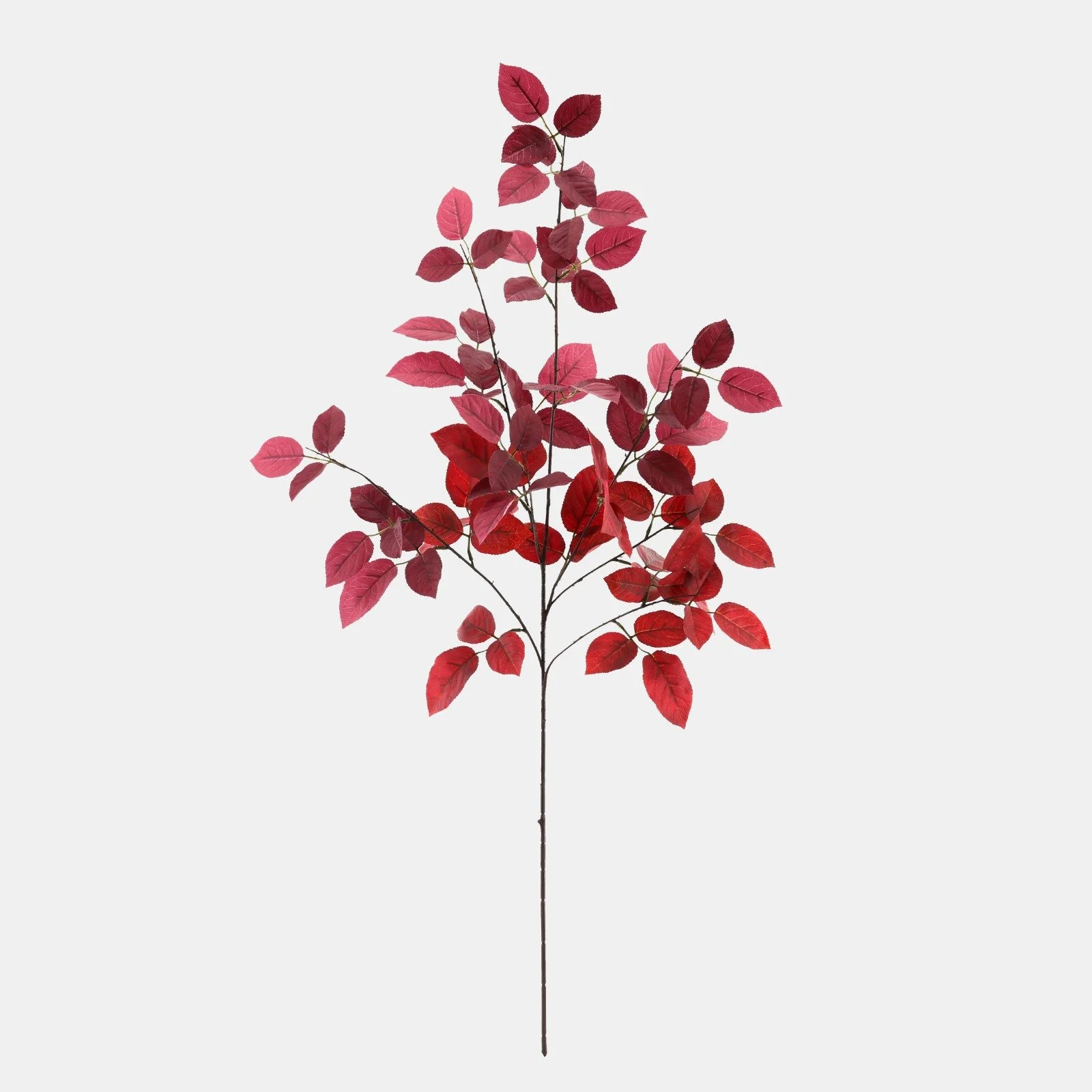 WhatsApp Image 2026-01-31 at 03.20.08 (2).jpeg