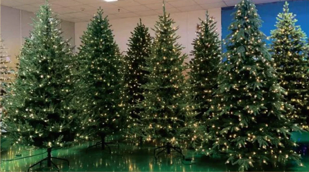 Screenshot 2025-11-02 at 8.00.34 AM.jpeg