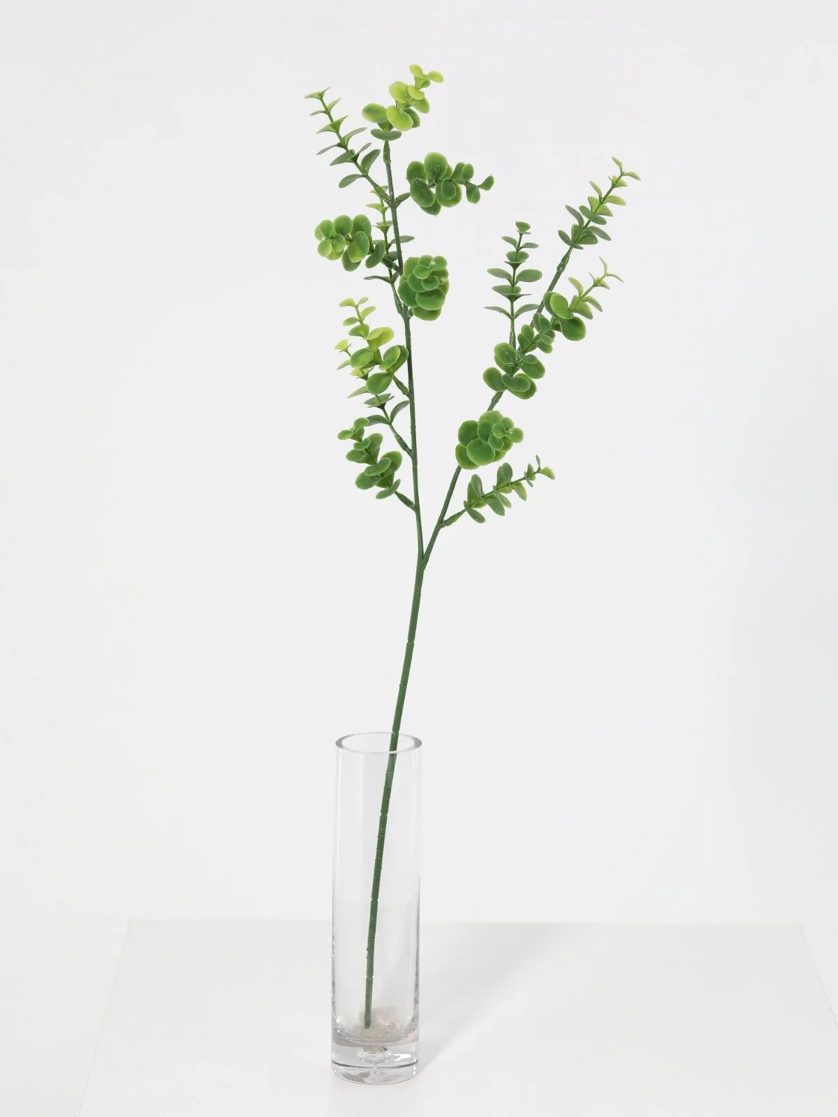 WhatsApp Image 2026-01-30 at 08.47.11 (1).jpeg