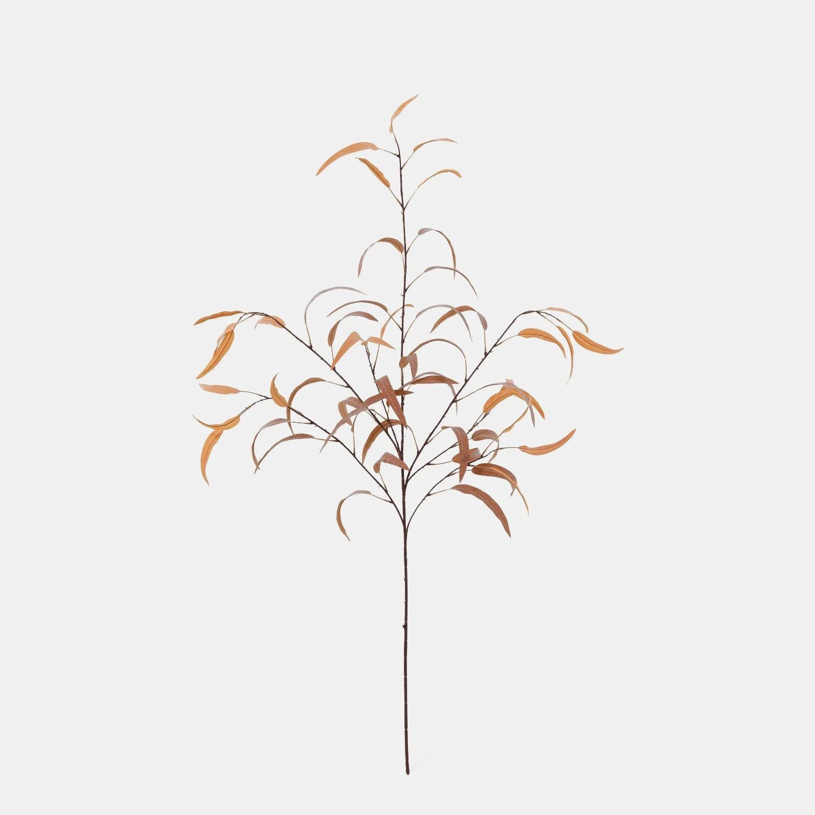 WhatsApp Image 2026-01-31 at 03.20.08 (9).jpeg