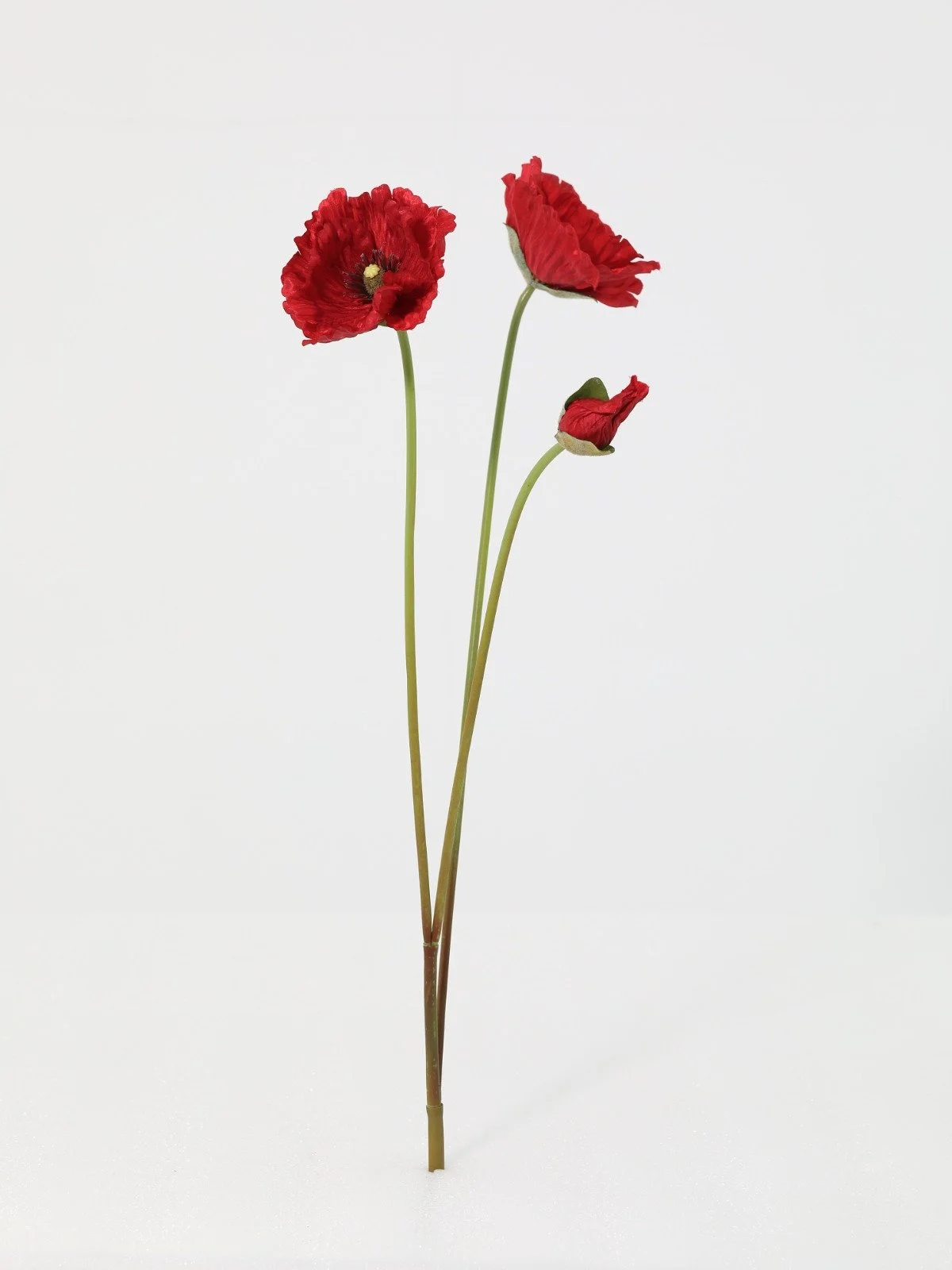 WhatsApp Image 2026-01-30 at 08.49.13 (1).jpeg