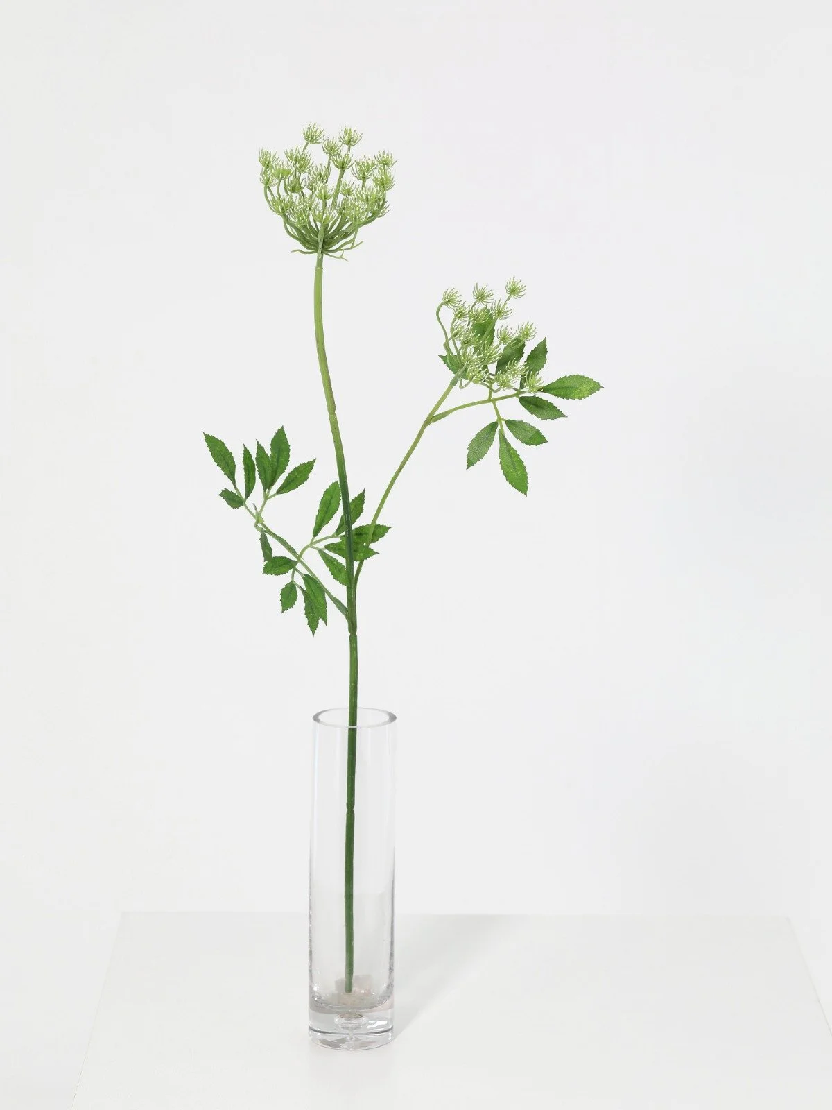 WhatsApp Image 2026-01-30 at 08.49.13 (4).jpeg