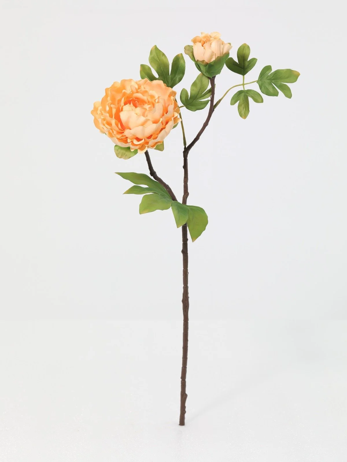 WhatsApp Image 2026-01-30 at 08.50.06 (5).jpeg