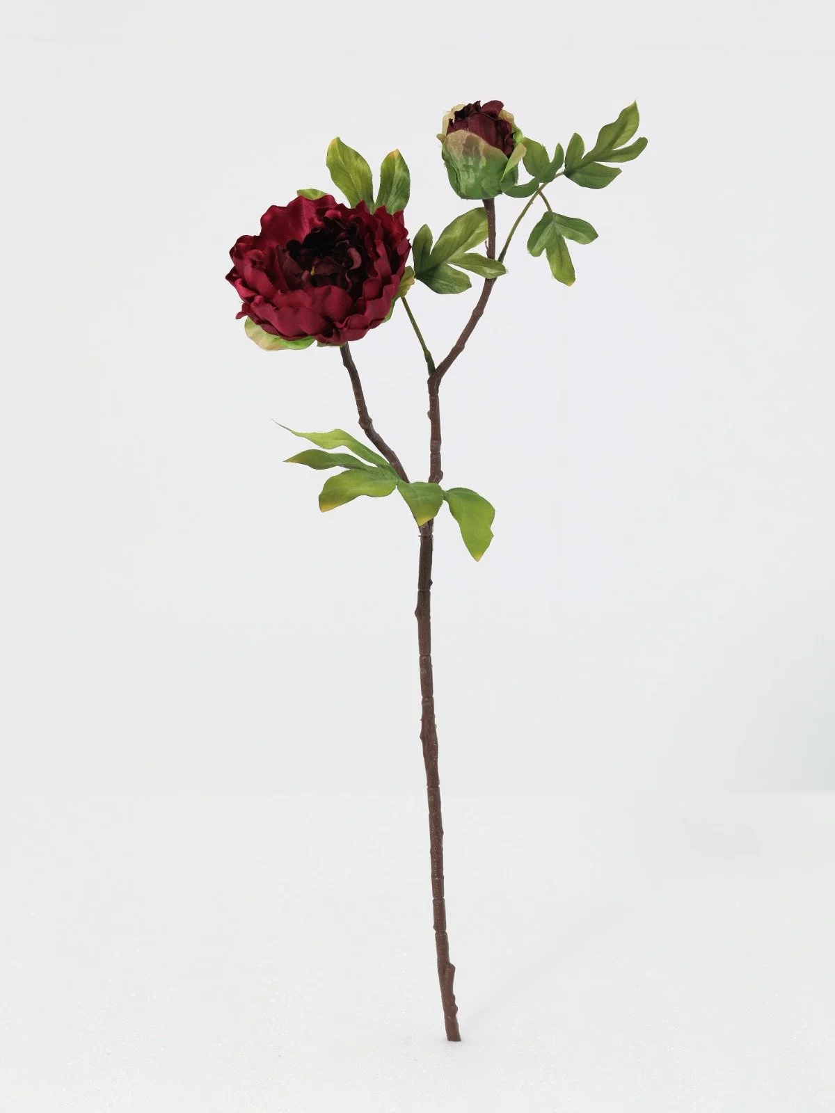 WhatsApp Image 2026-01-30 at 08.49.12 (2).jpeg