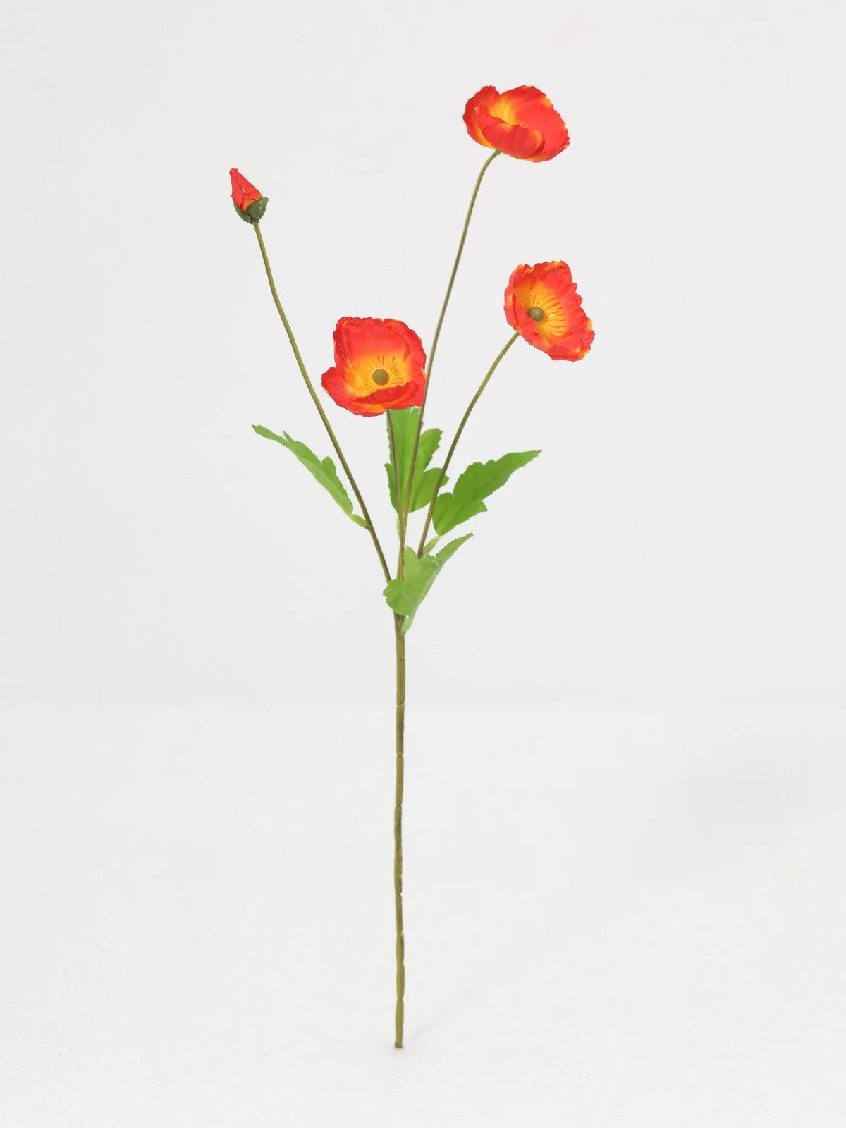 WhatsApp Image 2026-01-30 at 08.46.35 (1).jpeg