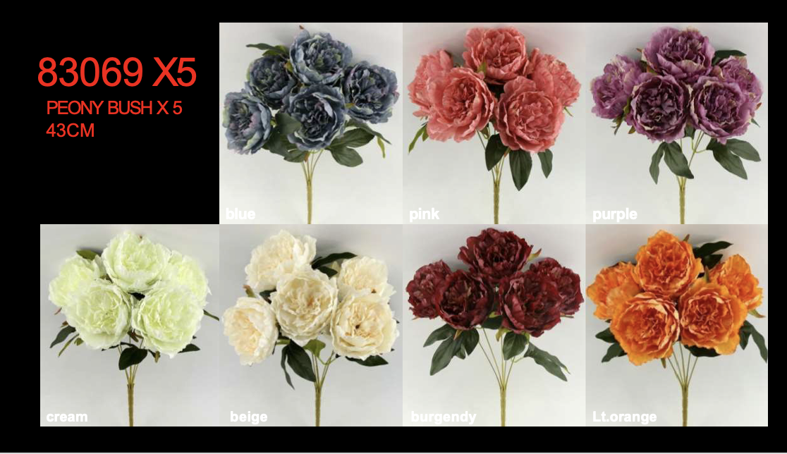 Screenshot 2026-01-31 at 8.45.38 AM.png