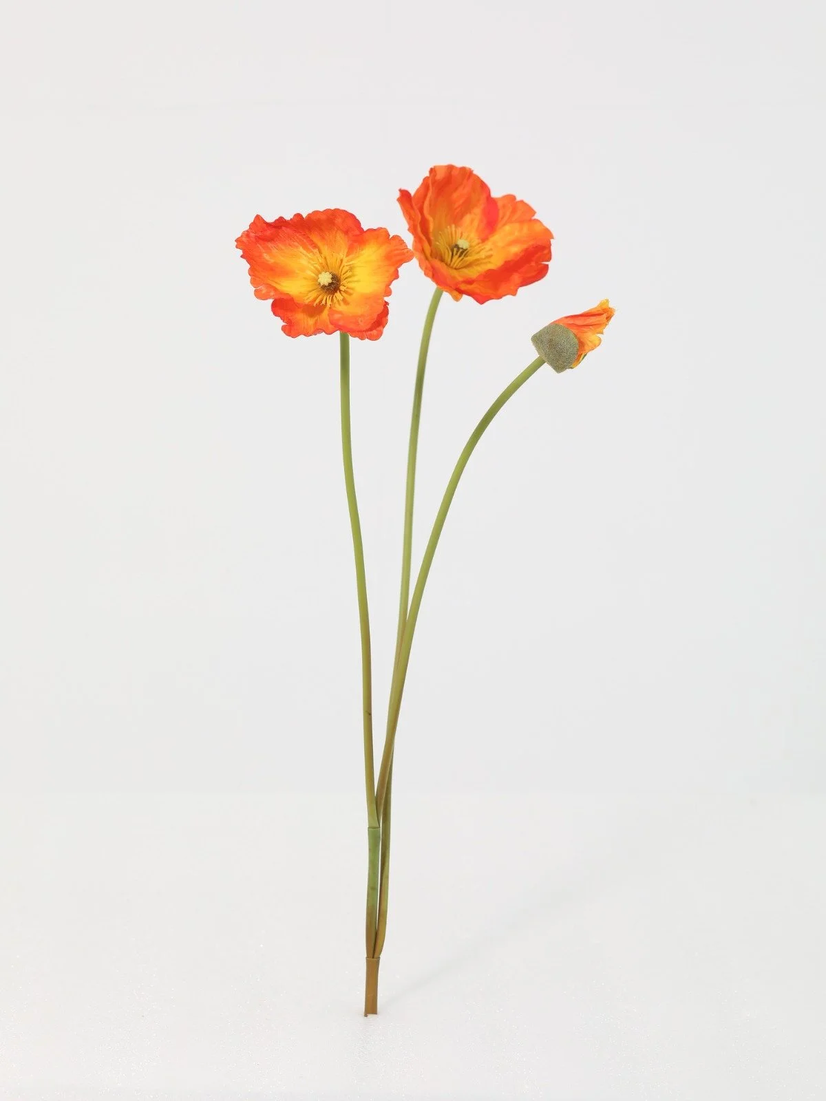 WhatsApp Image 2026-01-30 at 08.49.13 (2).jpeg