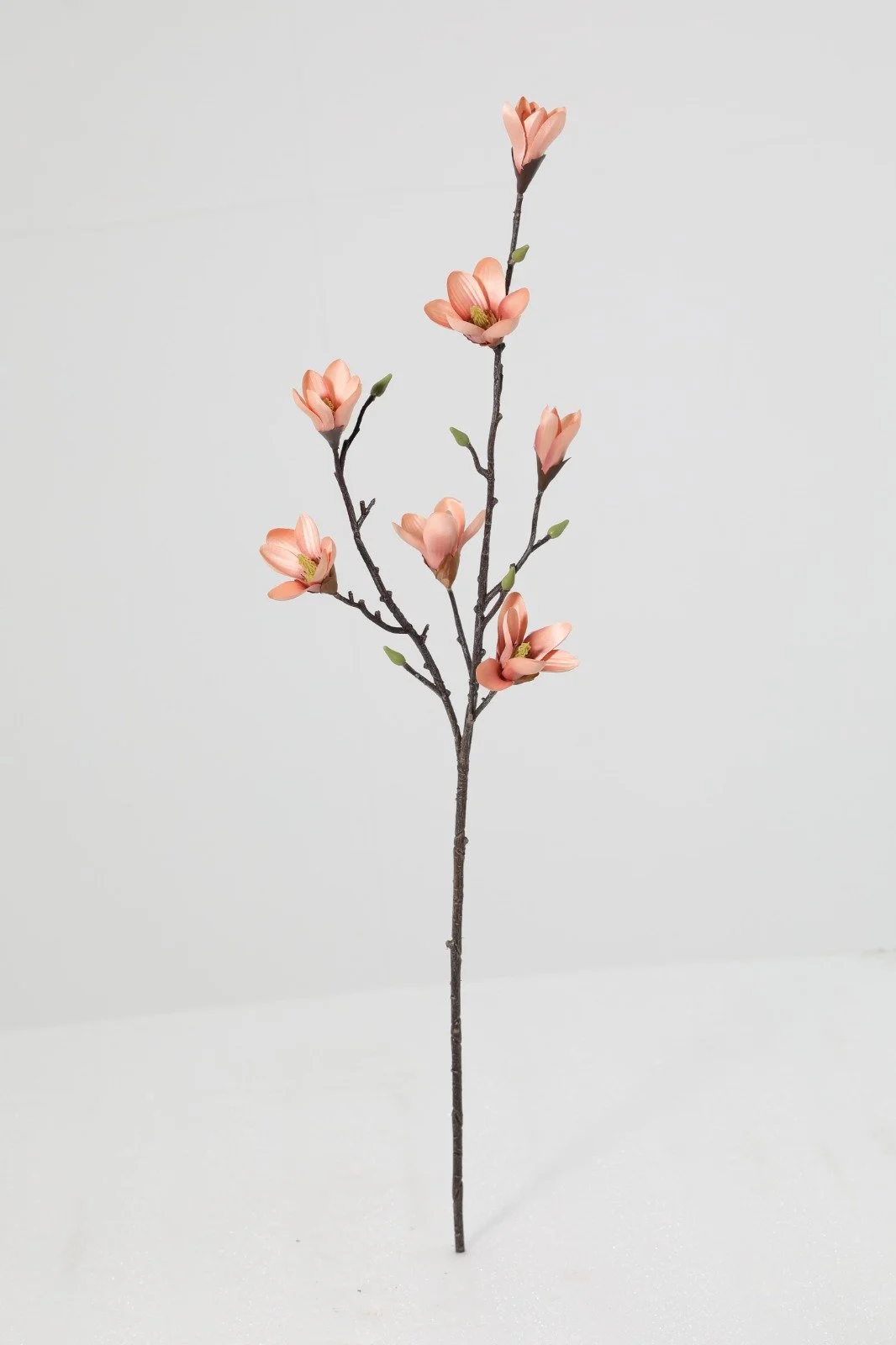 WhatsApp Image 2026-01-30 at 08.50.30 (1).jpeg