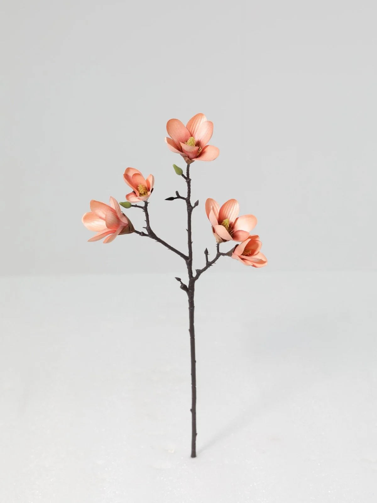 WhatsApp Image 2026-01-30 at 08.50.26 (1).jpeg