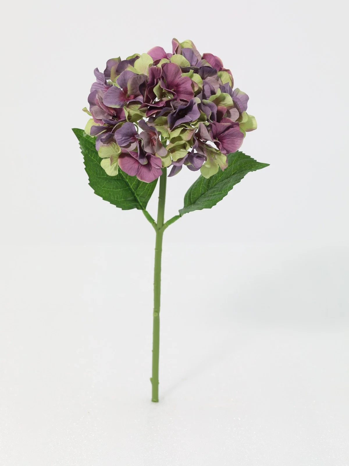 WhatsApp Image 2026-01-30 at 08.49.12.jpeg