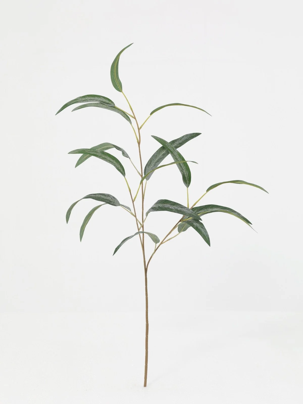 WhatsApp Image 2026-01-30 at 08.50.07 (4).jpeg