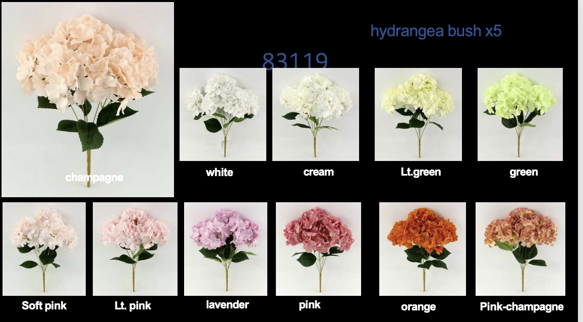 Screenshot 2026-01-31 at 8.44.08 AM.png