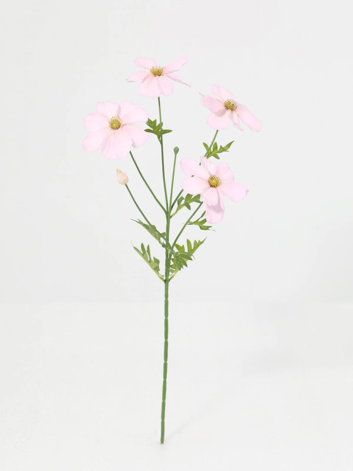 WhatsApp Image 2026-01-30 at 08.49.12 (10).jpeg