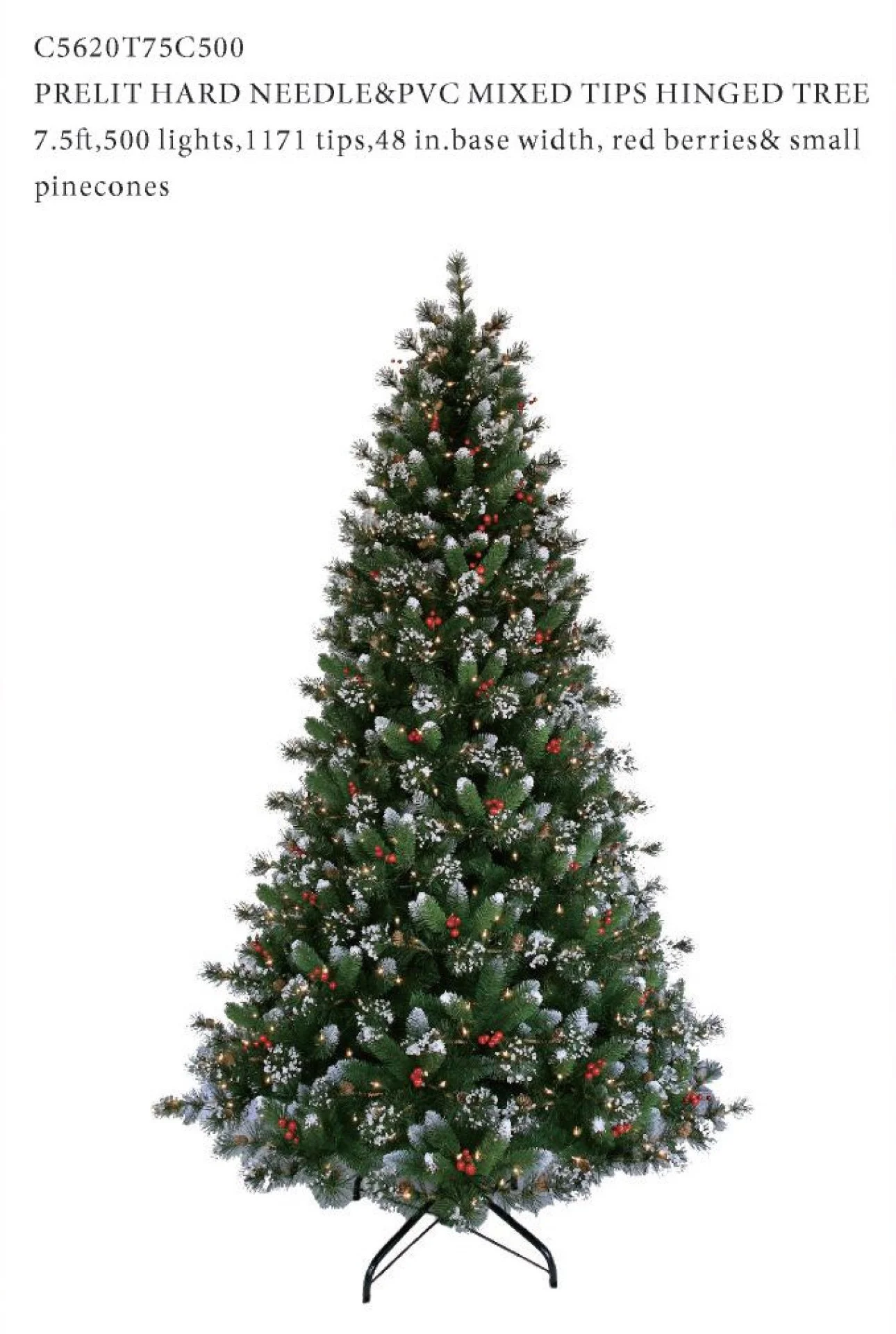 Screenshot 2025-11-02 at 8.04.27 AM.jpeg