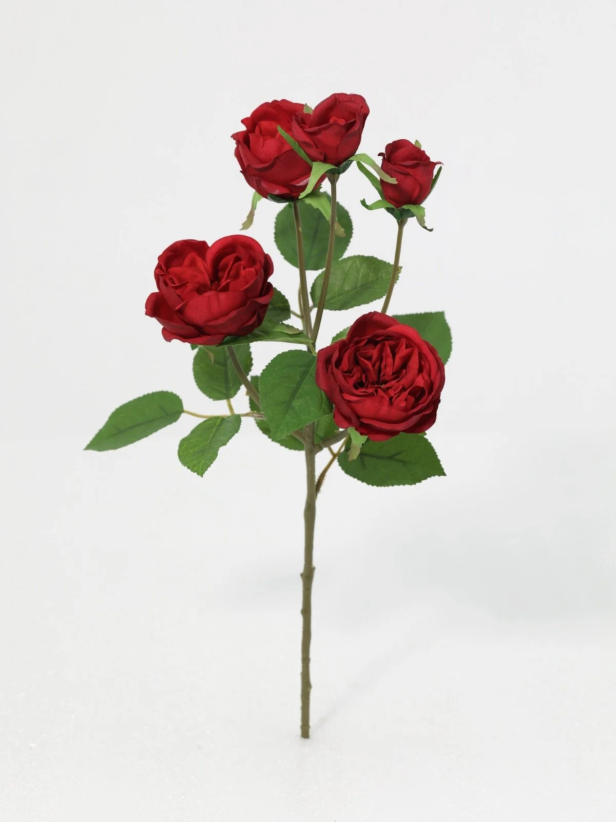 WhatsApp Image 2026-01-30 at 08.49.03 (7).jpeg