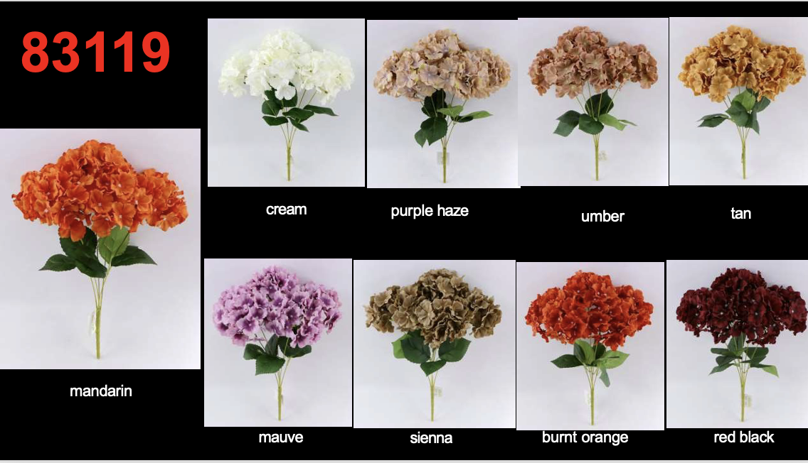 Screenshot 2026-01-31 at 8.43.48 AM.png