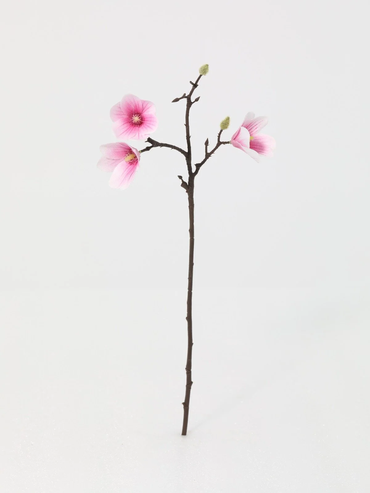 WhatsApp Image 2026-01-30 at 08.50.06 (6).jpeg