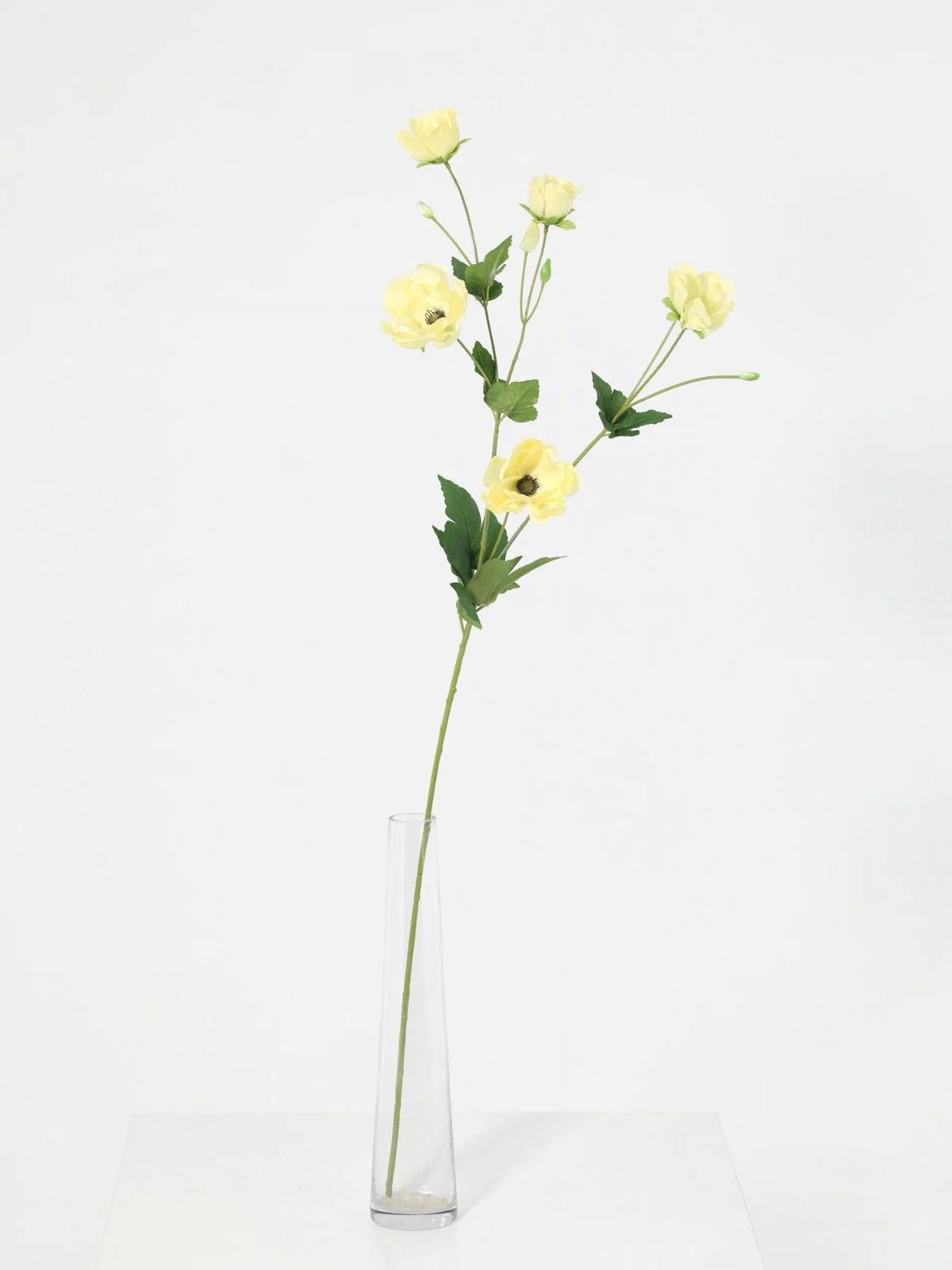 WhatsApp Image 2026-01-30 at 08.47.08 (2).jpeg