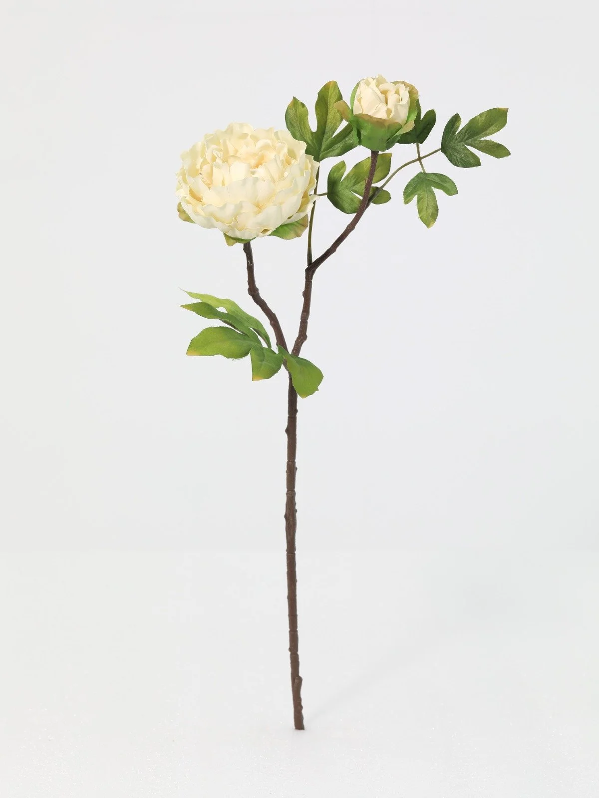 WhatsApp Image 2026-01-30 at 08.49.12 (7).jpeg