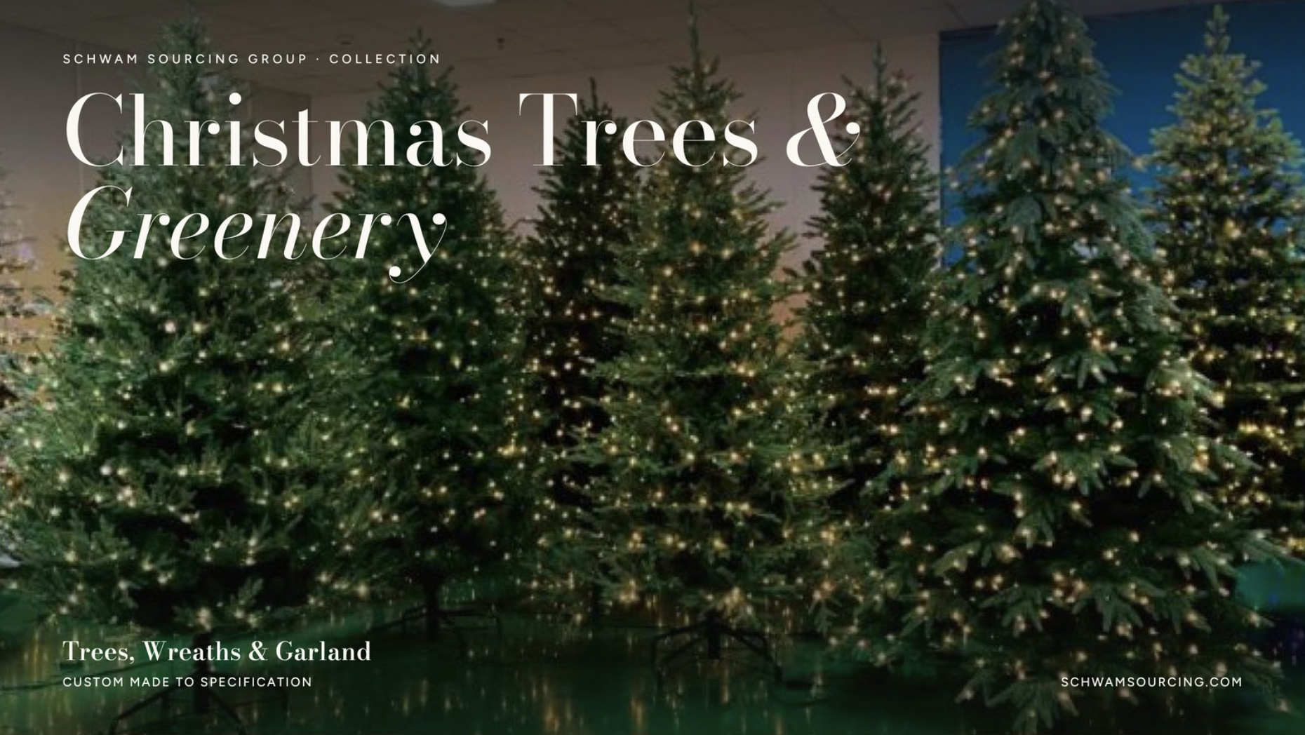 Christmas Trees.png