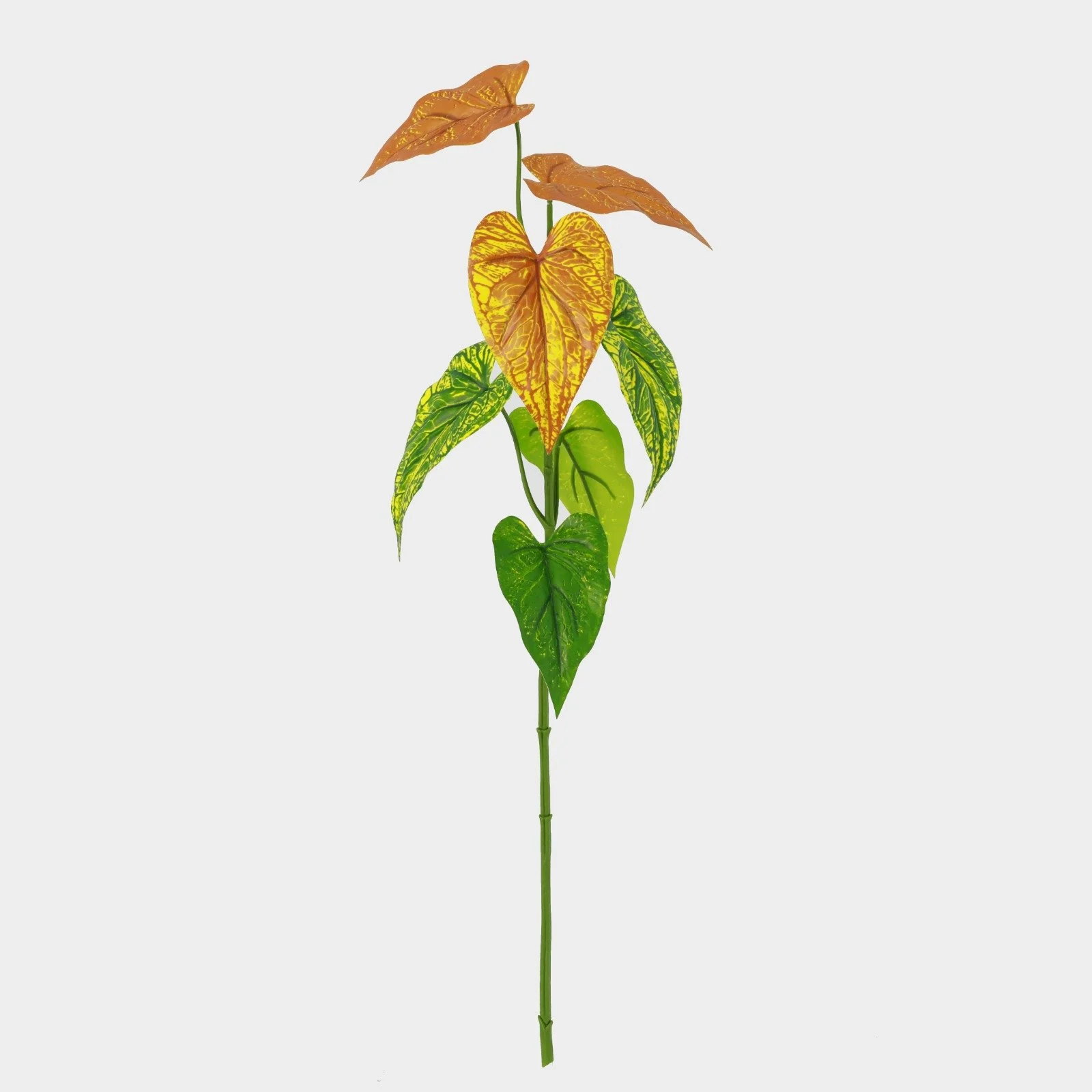 WhatsApp Image 2026-01-31 at 03.20.28.jpeg