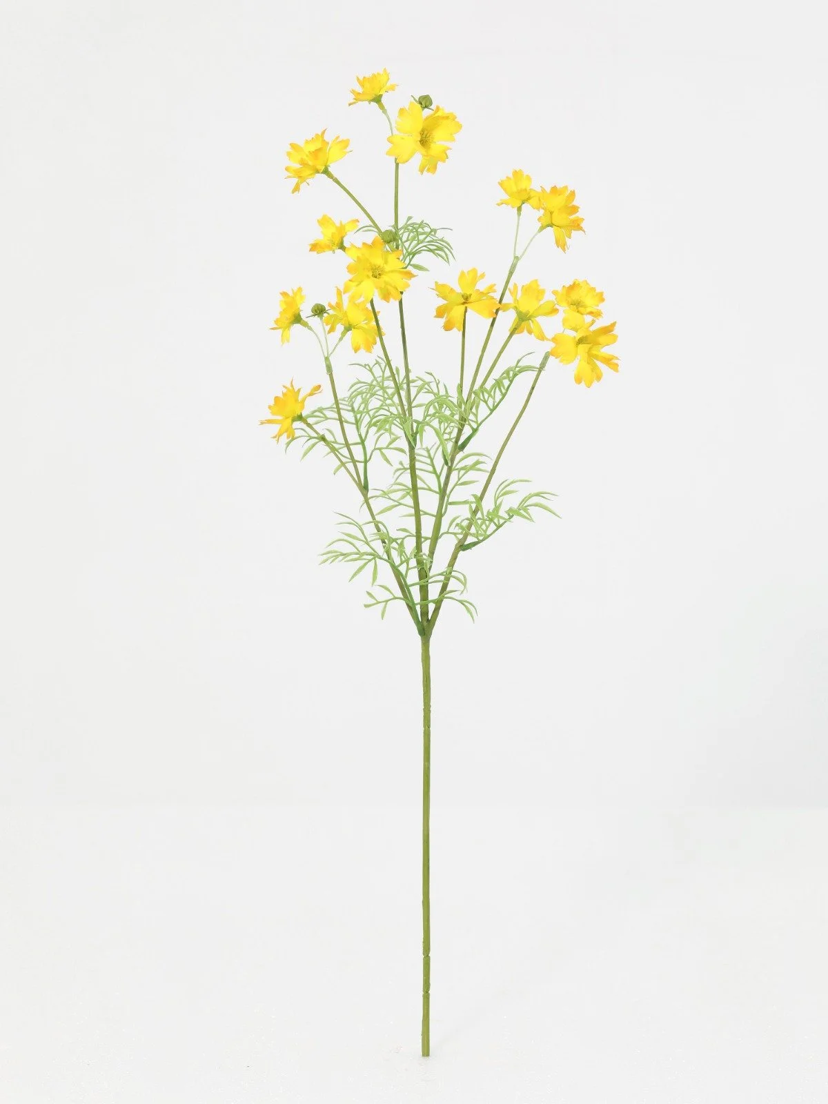 WhatsApp Image 2026-01-30 at 08.46.35.jpeg