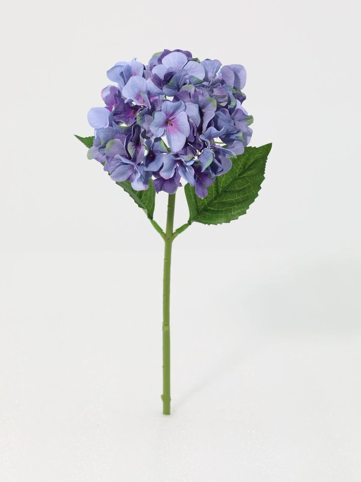 WhatsApp Image 2026-01-30 at 08.49.10.jpeg