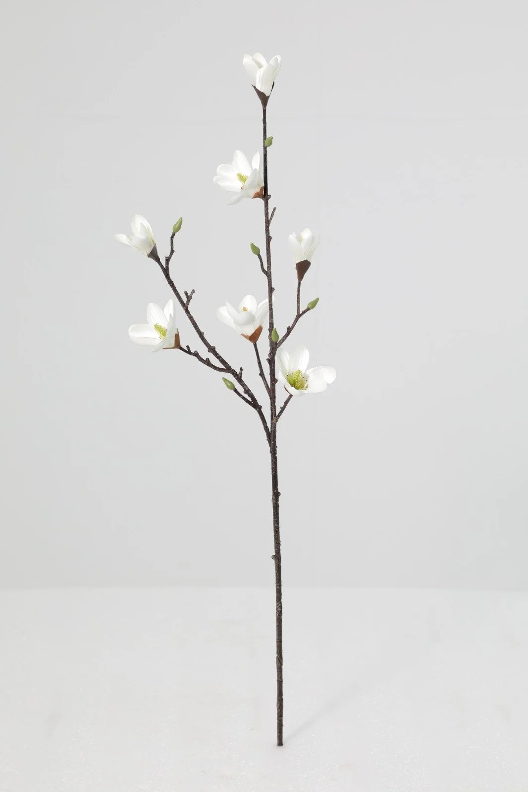 WhatsApp Image 2026-01-30 at 08.50.30.jpeg