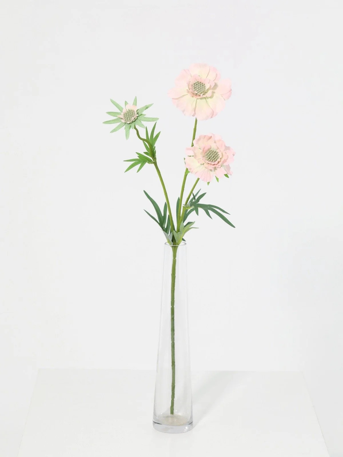 WhatsApp Image 2026-01-30 at 08.49.12 (13).jpeg