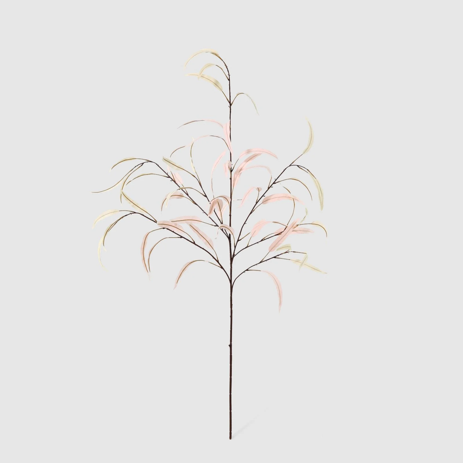 WhatsApp Image 2026-01-31 at 03.20.08 (6).jpeg