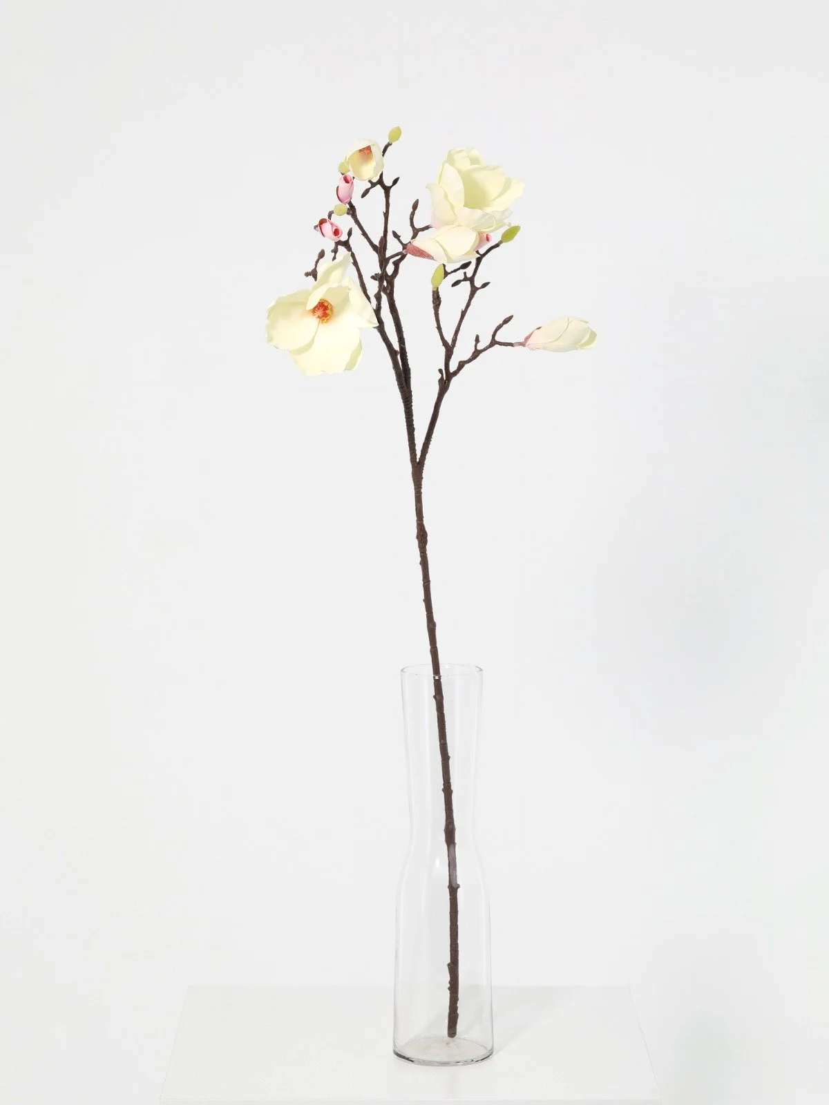 WhatsApp Image 2026-01-30 at 08.47.11 (2).jpeg