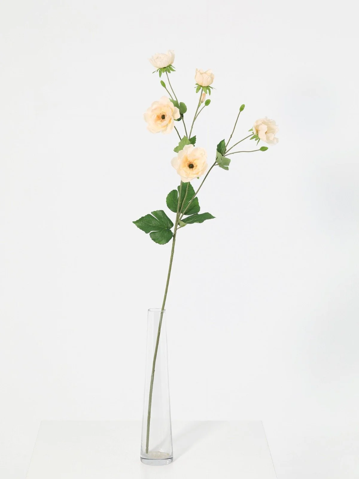 WhatsApp Image 2026-01-30 at 08.47.09 (3).jpeg