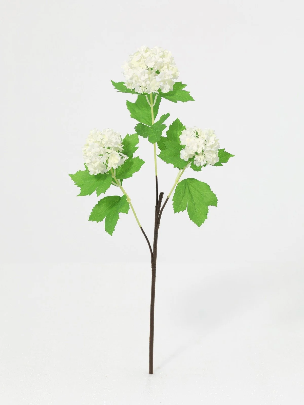 WhatsApp Image 2026-01-30 at 08.47.27.jpeg