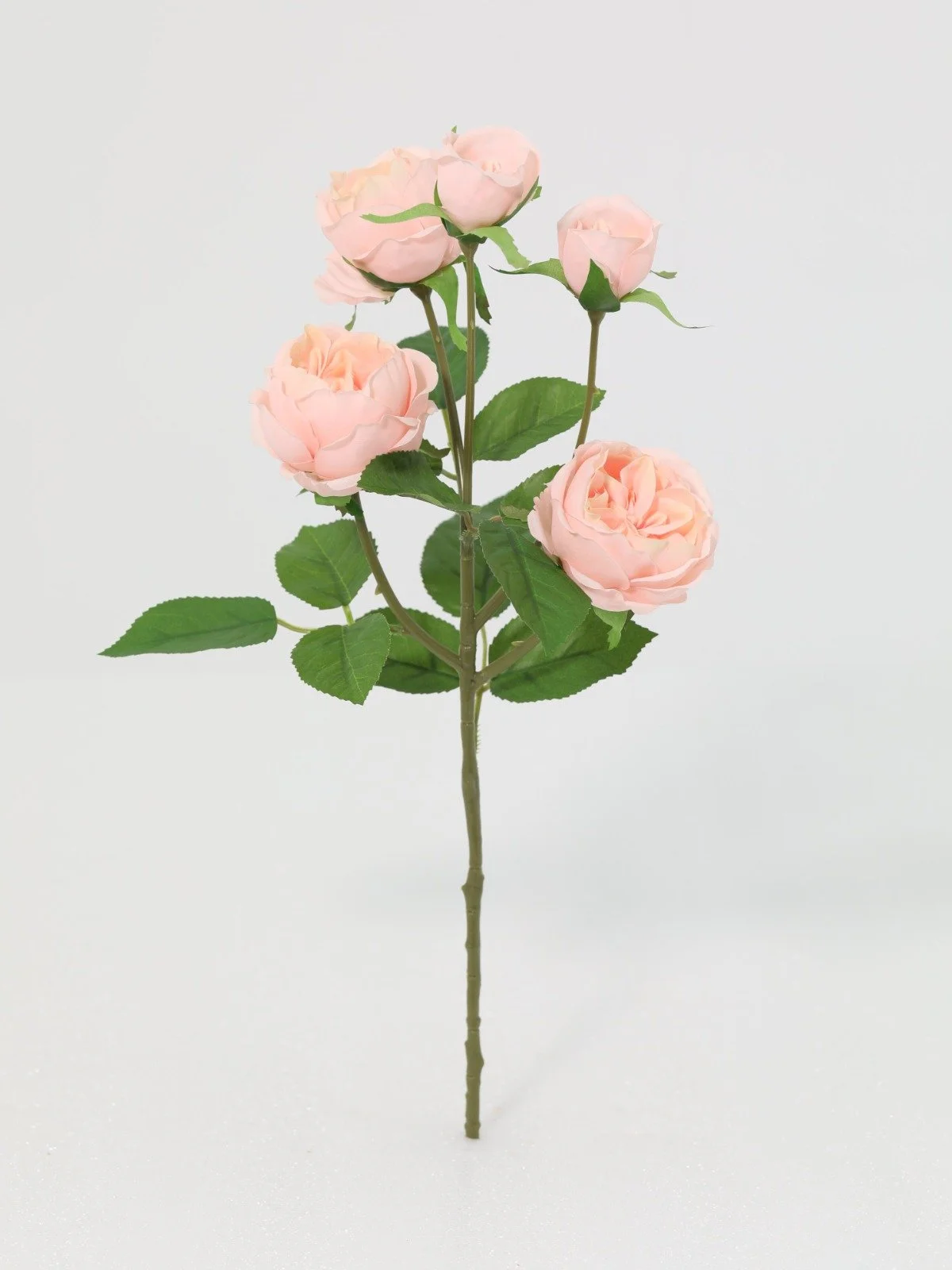 WhatsApp Image 2026-01-30 at 08.49.03 (6).jpeg