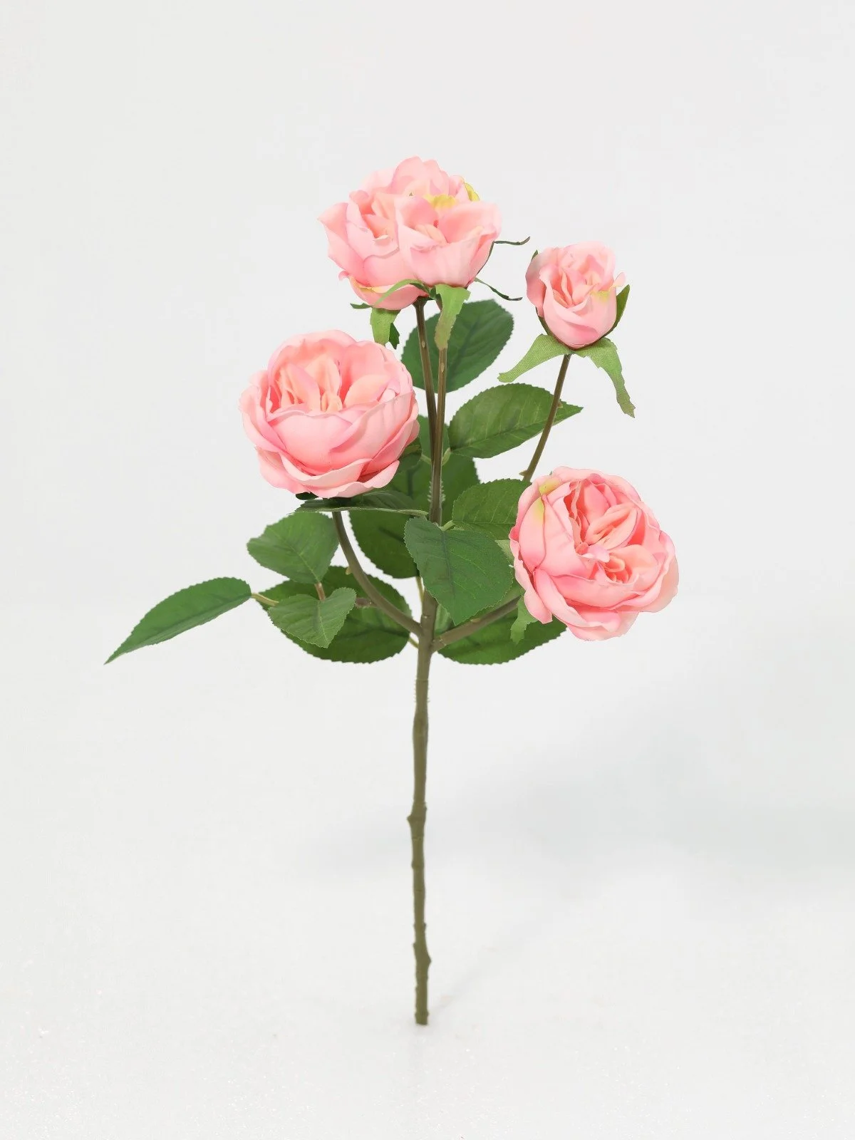 WhatsApp Image 2026-01-30 at 08.49.03 (4).jpeg