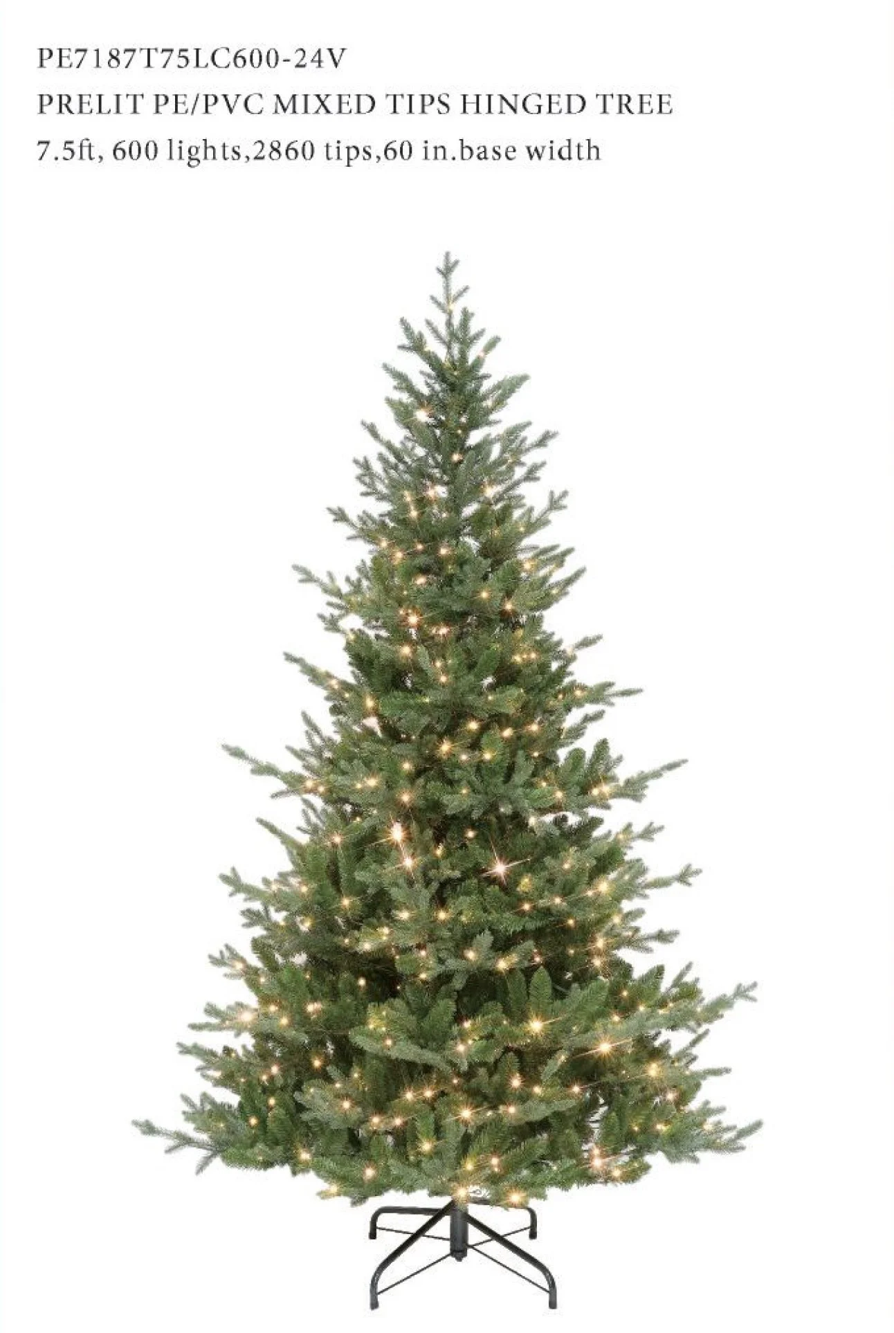 Screenshot 2025-11-02 at 8.01.20 AM copy.jpeg