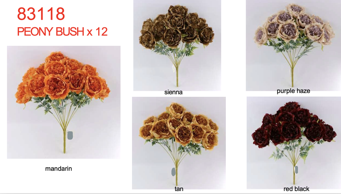 Screenshot 2026-01-31 at 8.46.49 AM.png