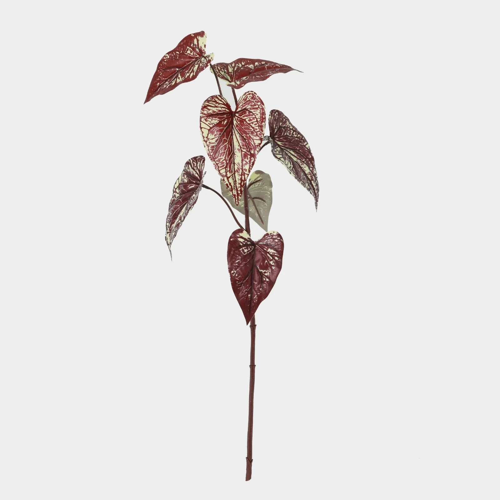 WhatsApp Image 2026-01-31 at 03.20.29.jpeg