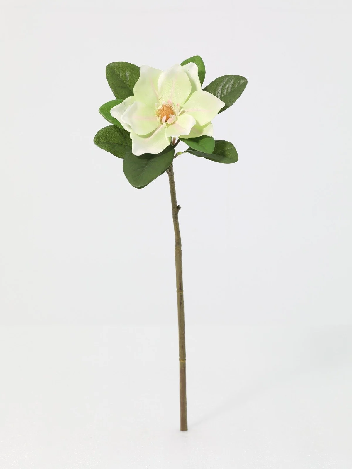 WhatsApp Image 2026-01-30 at 08.50.07 (2).jpeg