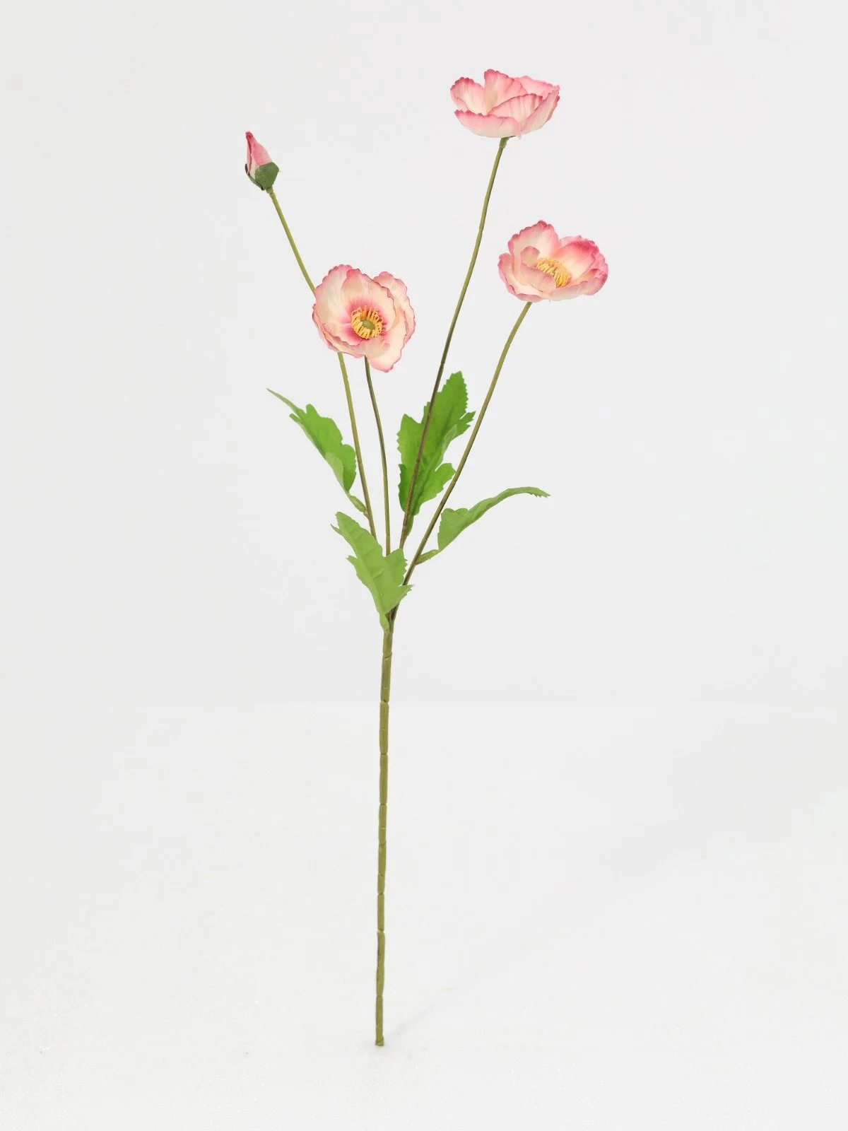 WhatsApp Image 2026-01-30 at 08.46.22 (1).jpeg