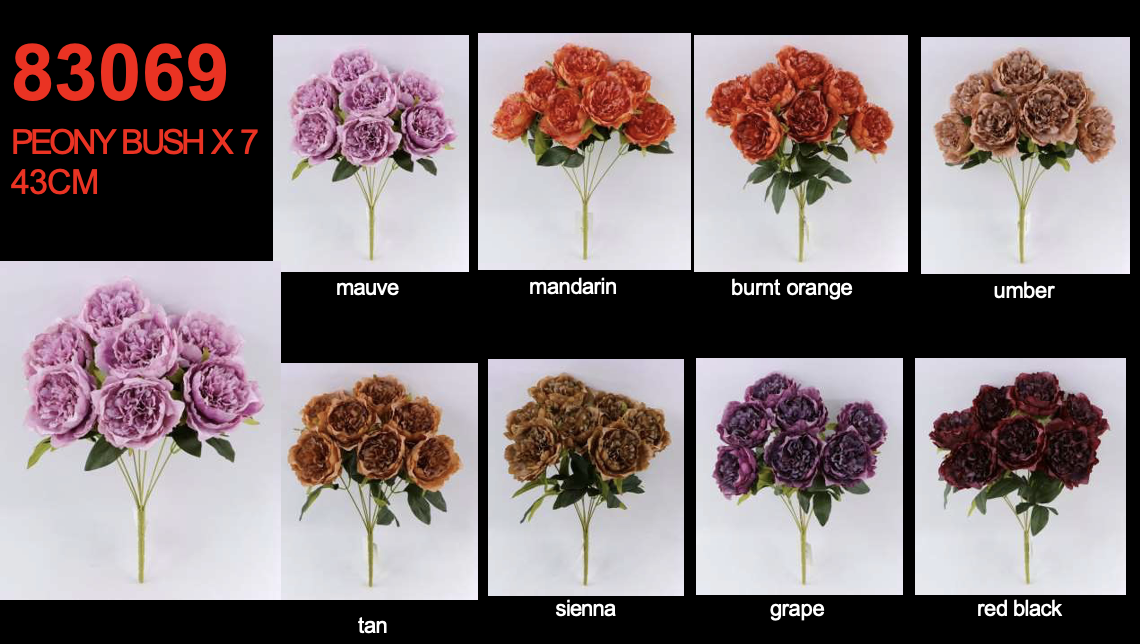 Screenshot 2026-01-31 at 8.45.06 AM.png