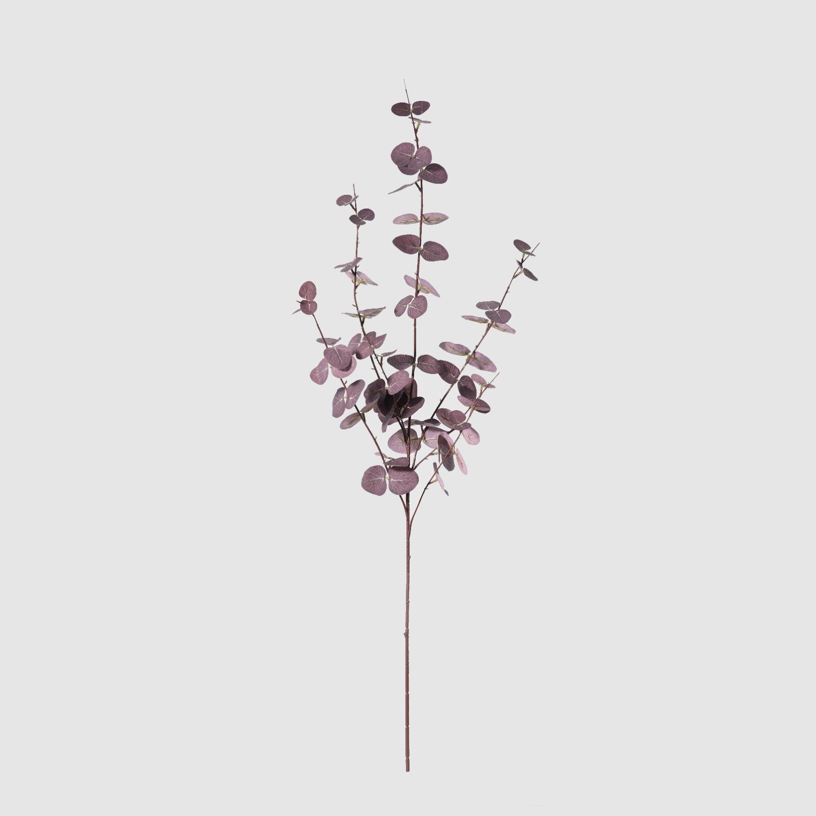 WhatsApp Image 2026-01-31 at 03.20.08 (13).jpeg