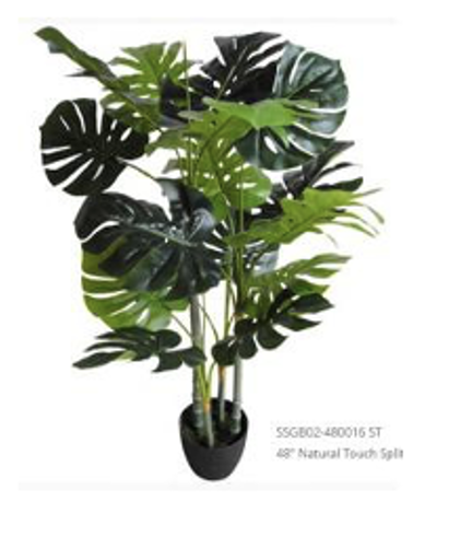 Natural Touch Split Philo Tree