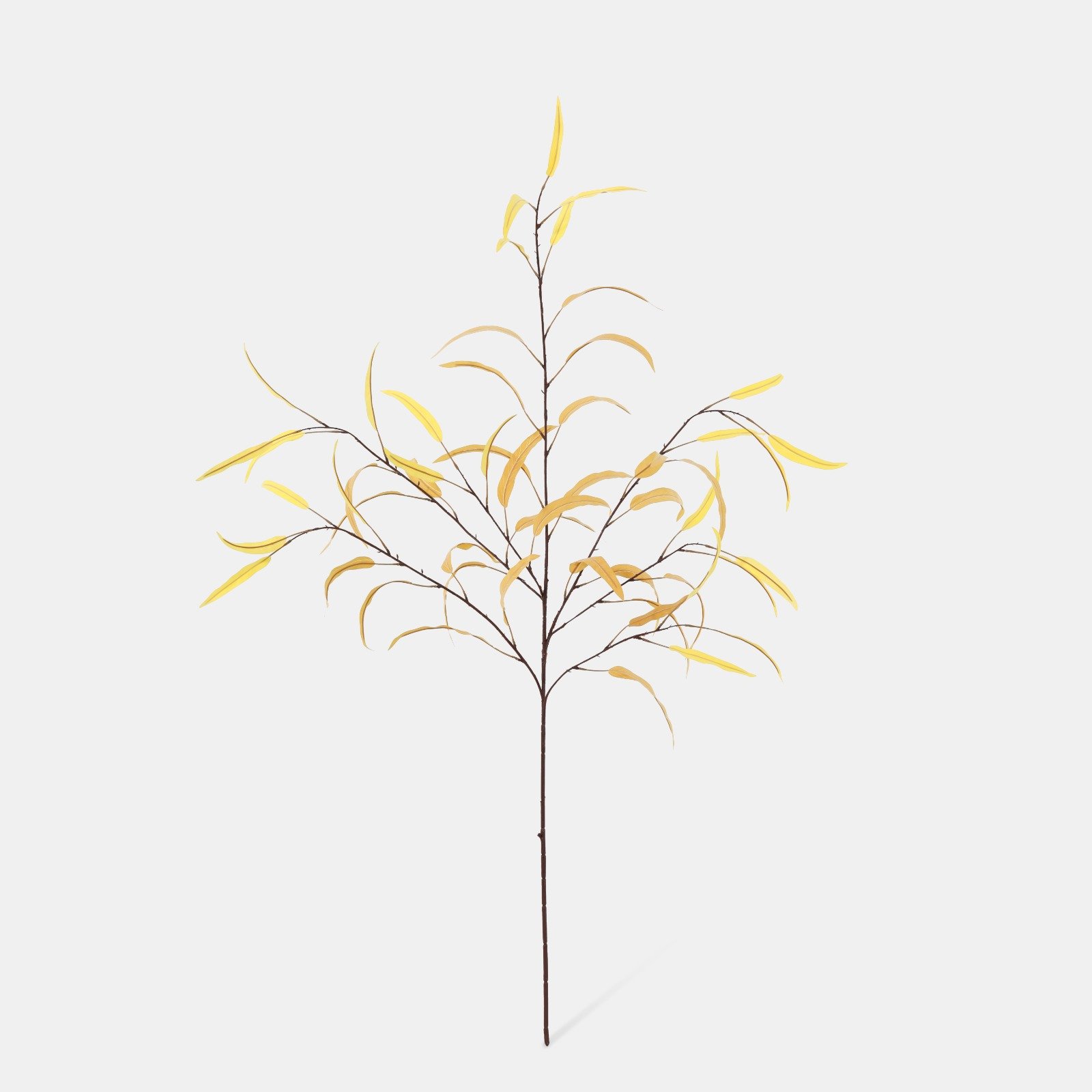 WhatsApp Image 2026-01-31 at 03.20.08 (8).jpeg